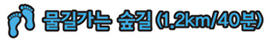 물길가는 숲길