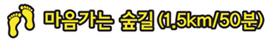 마음가는 숲길