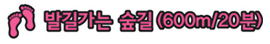 발길가는 숲길