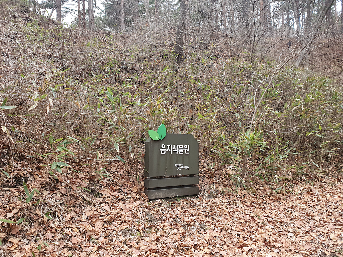 음지식물원