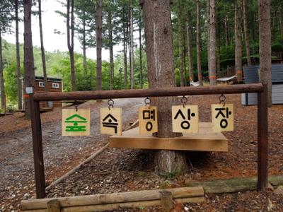 숲속명상장