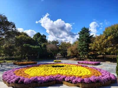 화목원의 오늘_20251023