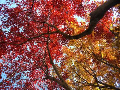 화목원의 오늘_20251112