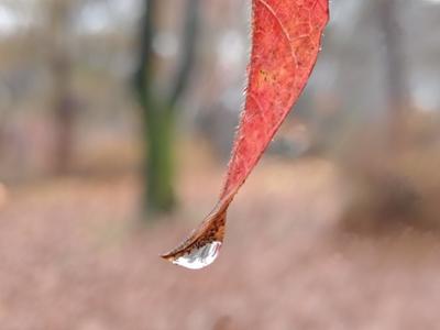 화목원의 오늘_251125