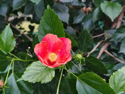 화목원의 오늘_사계식물원